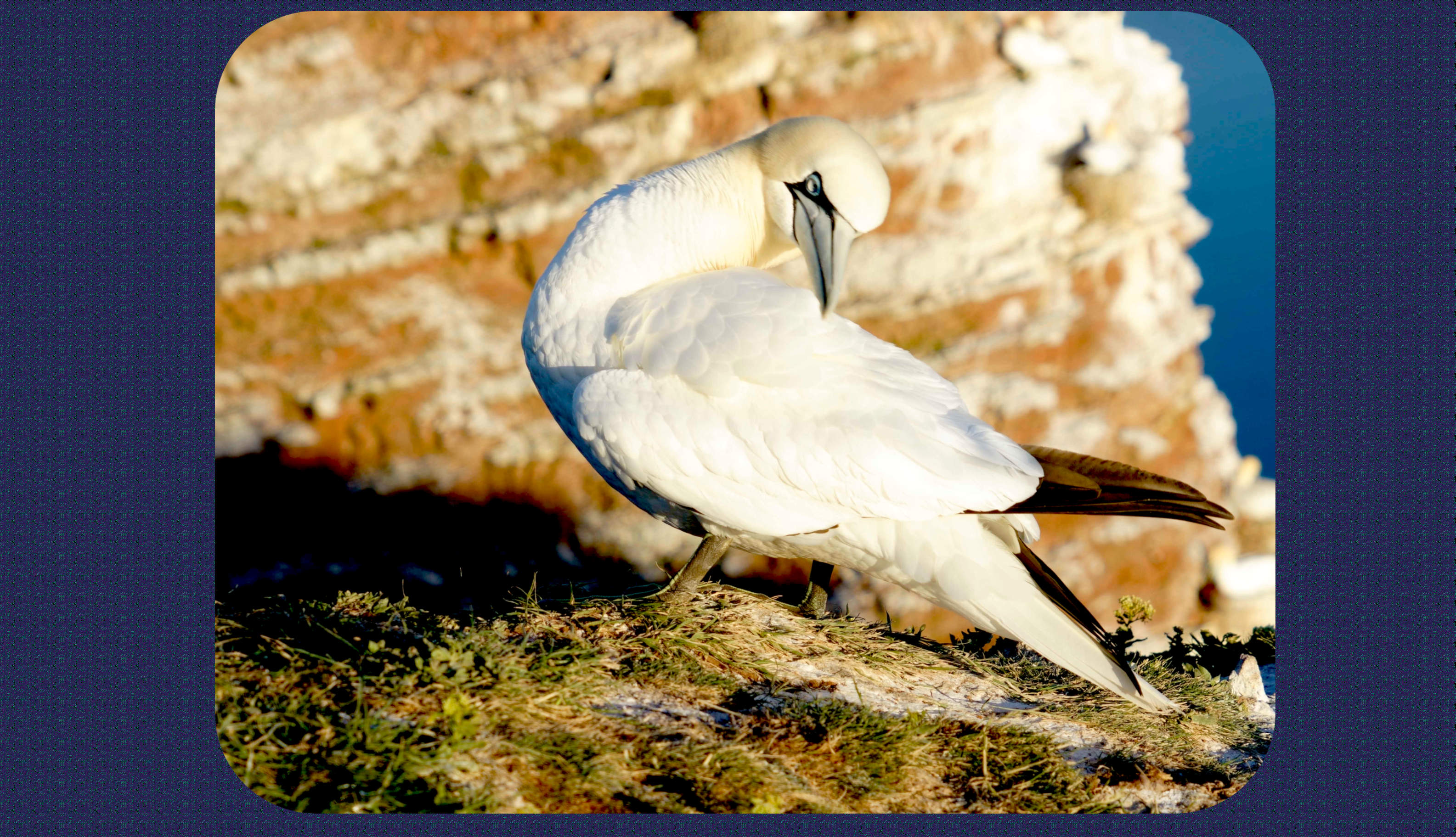 Helgoland